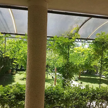 Luxury Apartment