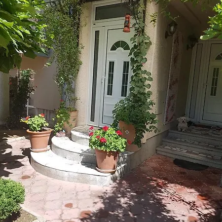 Luxury Apartament Belgrad